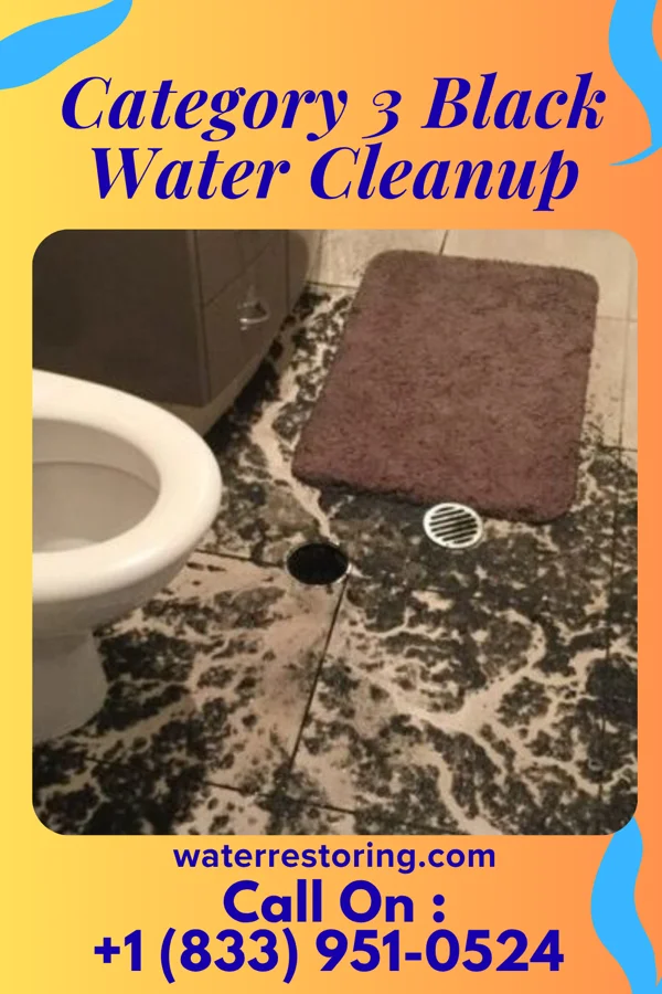Category 3 Black Water Cleanup in Green Mountain Falls, CO